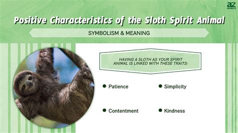 sloth point meaning